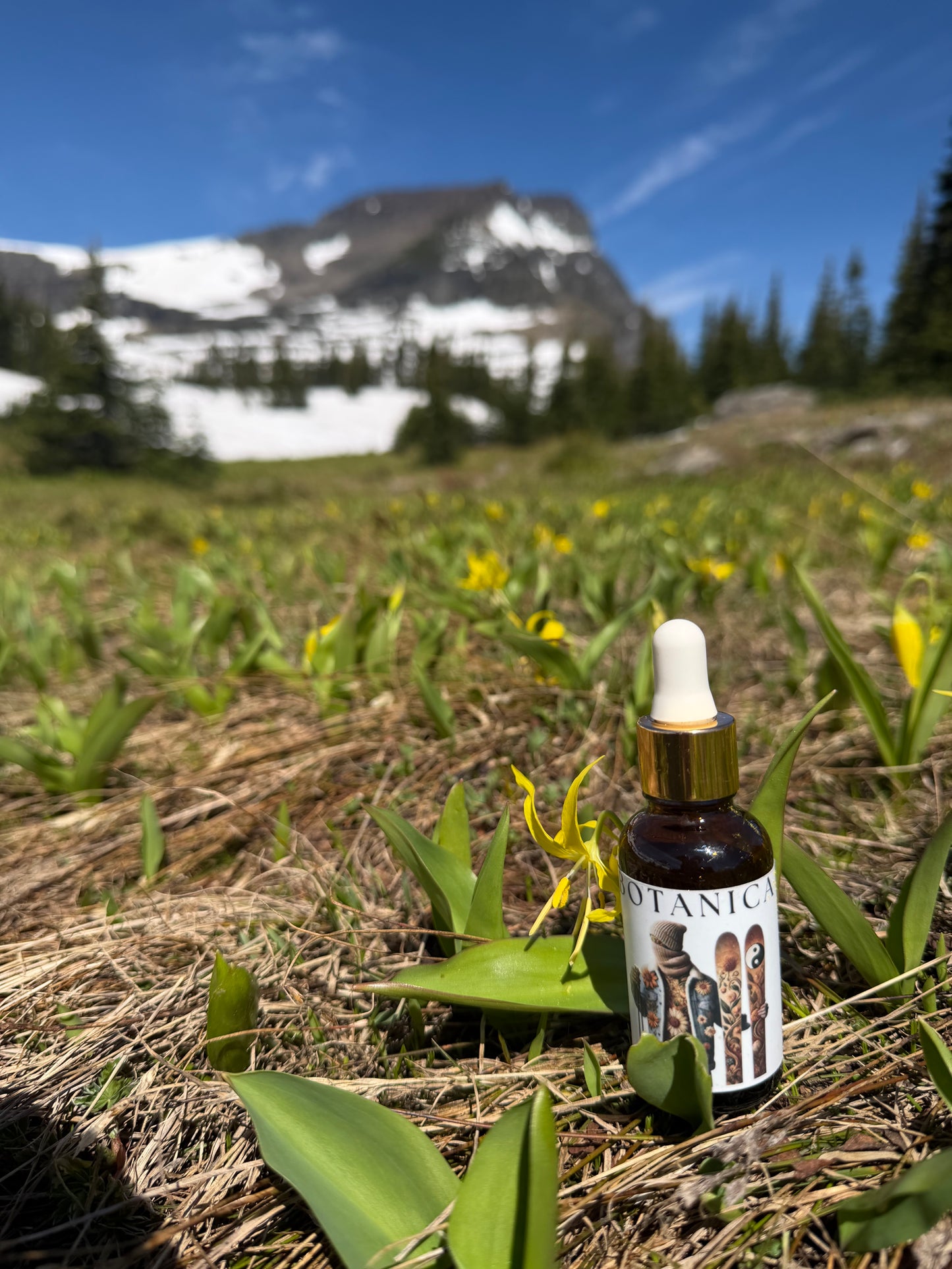 No Time for Colds | Chinese Herbal Tincture