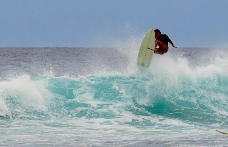 No Fear of Surfer's Ear  | Chinese Herbal Topical Tincture