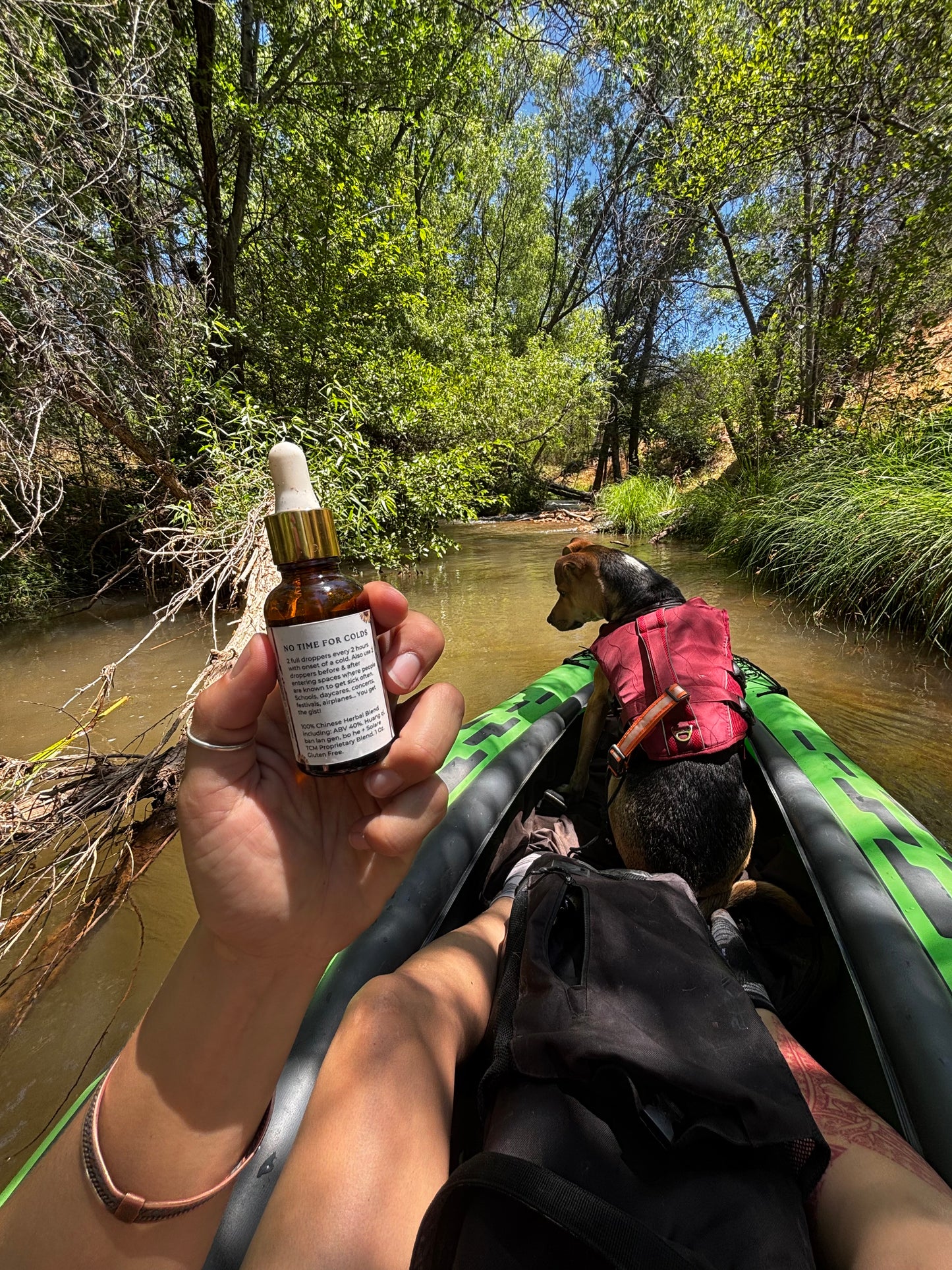 No Time for Colds  | Chinese Herbal Tincture