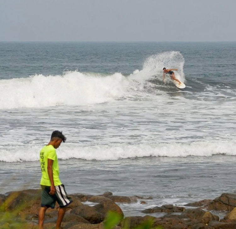 No Fear of Surfer's Ear  | Chinese Herbal Topical Tincture