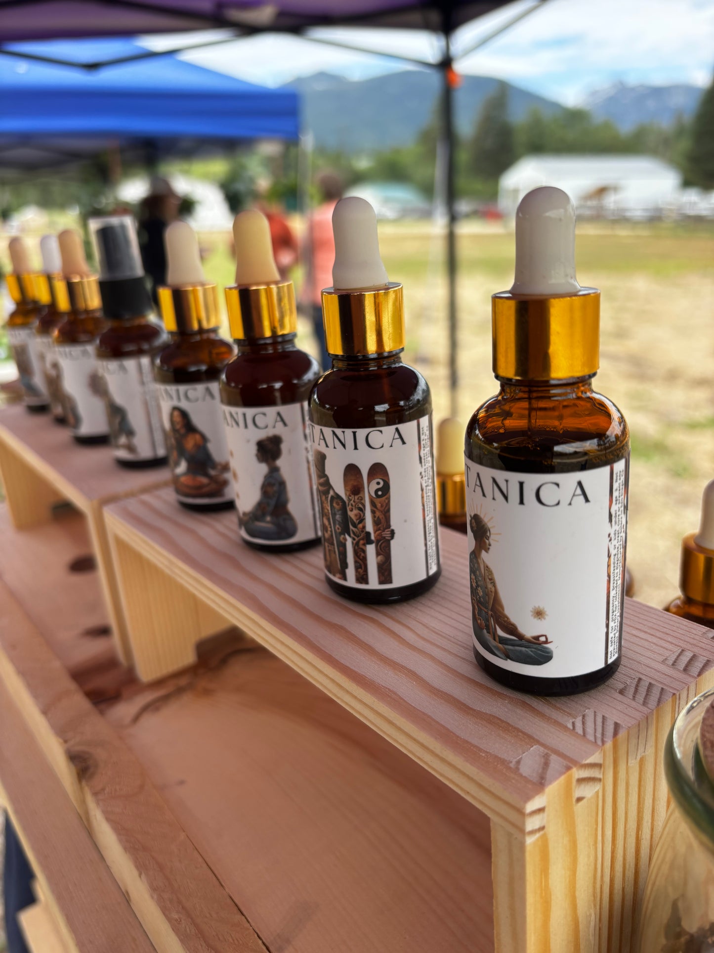 No Time for Colds  | Chinese Herbal Tincture